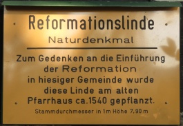 Reformationslinde in Alterode